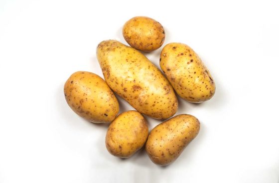 Kartoffel Bernina gewaschen